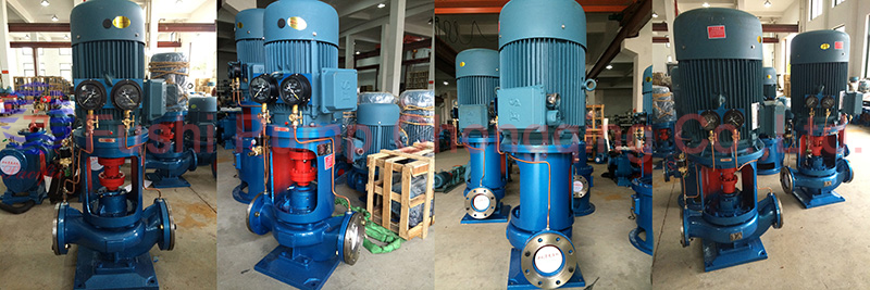 Photo of CLH Marine Vertical Fire Pump.jpg